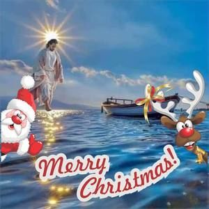 Meet your Posher, Wanda shelton